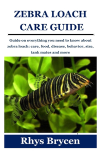 Zebra Loach Care Guide