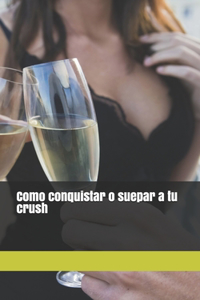 Como conquistar o superar a tu crush