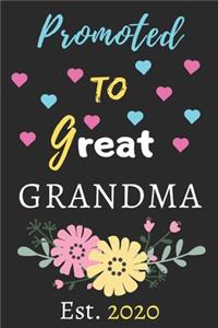 Promoted To Great Grandma est.2020