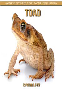 Toad