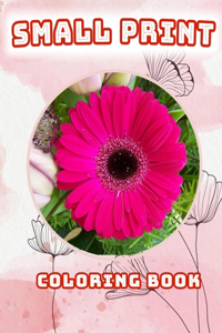 Small Print Coloring Book