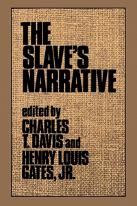 Slave's Narrative