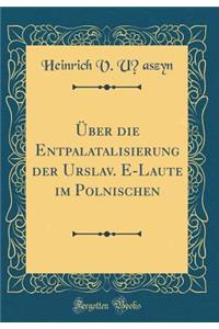 ï¿½ber Die Entpalatalisierung Der Urslav. E-Laute Im Polnischen (Classic Reprint)