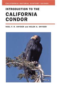 Introduction to the California Condor, 81