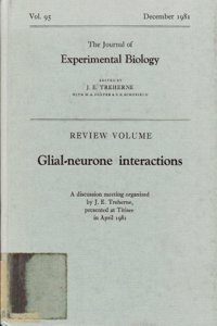 Glial-Neurone Interactions