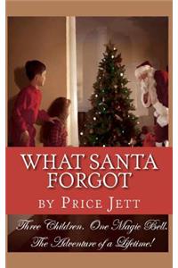 What Santa Forgot