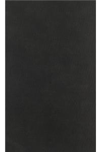 Centenary Ed Works Nathaniel Hawthorne: Vol. XIV, the French and Italian Noteboo Volume 14