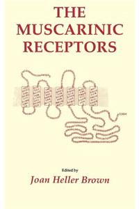 Muscarinic Receptors