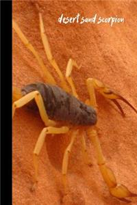 desert sand scorpion