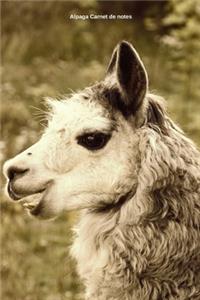 Alpaga Carnet de notes