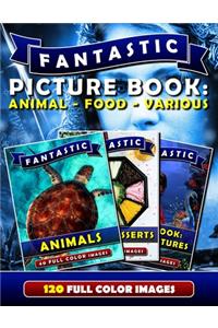 Fantastic Picture Book