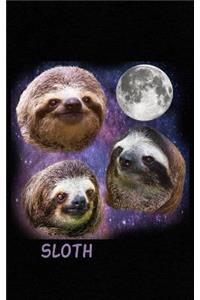 Sloth