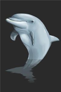 Dolphin Journal