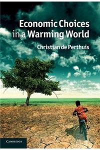 Economic Choices in a Warming World