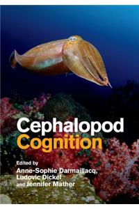 Cephalopod Cognition