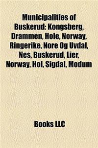 Municipalities of Buskerud