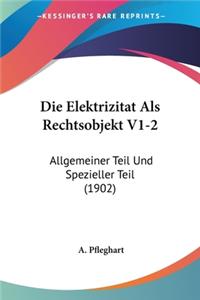 Die Elektrizitat Als Rechtsobjekt V1-2