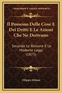 Il Possesso Delle Cose E Dei Dritti E Le Azioni Che Ne Derivano