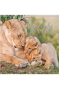 Emotional Moments: Lion Cubs - So Sweet 2017