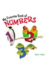 My Favorite Book of Numbers