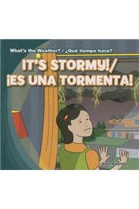 It's Stormy! / ¡Es Una Tormenta!