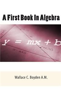 First Book In Algebra