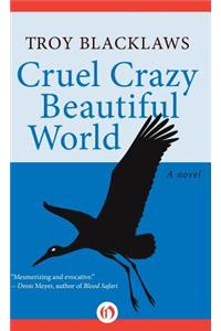 Cruel Crazy Beautiful World