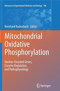 Mitochondrial Oxidative Phosphorylation