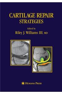 Cartilage Repair Strategies