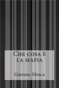 Che cosa è la mafia