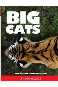 Big Cats