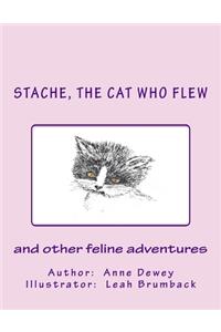 Stache, the Cat Who Flew