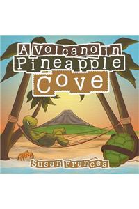 Volcano in Pineapple Cove