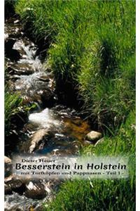 Besserstein in Holstein