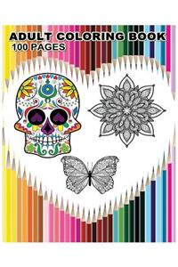 Adult Coloring Book 100 Pages