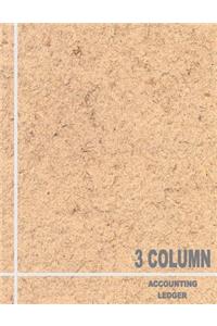 3 Column Accounting Ledger