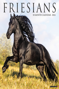 Friesians 2024 12 X 12 Wall Calendar