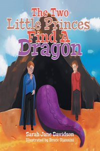 Two Little Princes Find A Dragon