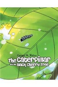 Caterpillar and the Black Cherry Tree