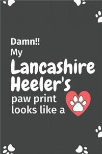 Damn!! my Lancashire Heeler's paw print looks like a