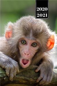 Monkey Ape Week Planner Weekly Organizer Calendar 2020 / 2021 - Frightened Face