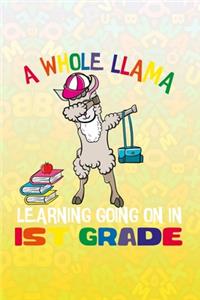 A Whole Llama Learning Going On 1st Grade
