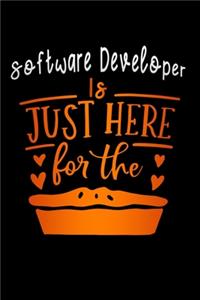 Software Developer is just here for the