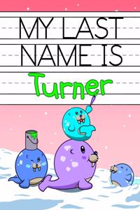 My Last Name is Turner