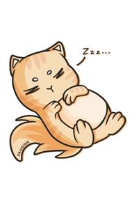 Lazy Cat Notebook