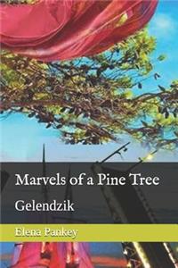 Marvels of a Pine Tree