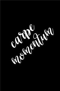 2019 Daily Planner Motivational Carpe Momentum 384 Pages