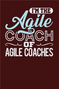 I'm the Agile Coach of Agile Coaches