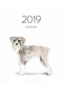2019 Schnauzer