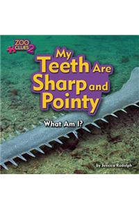 My Teeth Are Sharp and Pointy (Sawfish)